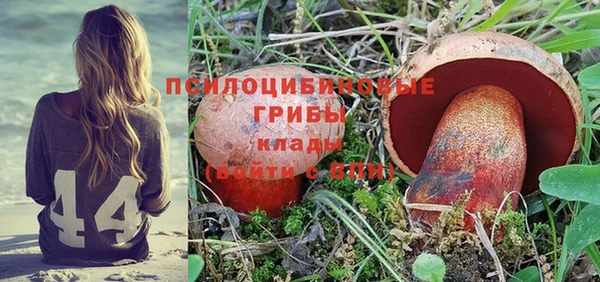 мяу мяу мука Приозерск